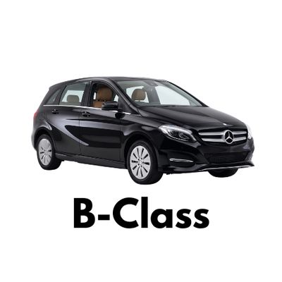 Mercedes-Benz B-Class Caliper Covers - Ships Across Canada