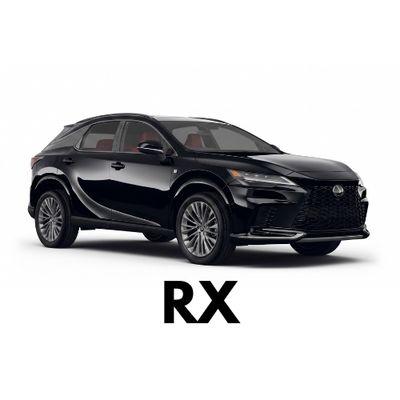 Lexus RX Caliper Covers - Ships Across Canada