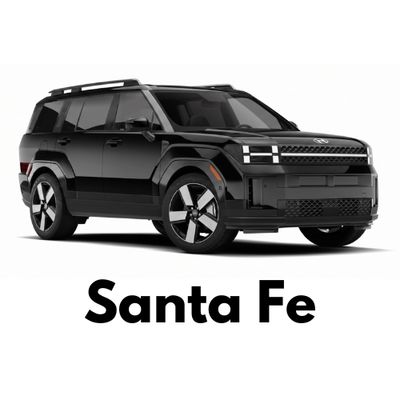 Hyundai Santa Fe Caliper Covers - Ships Across Canada