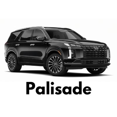 Buy Hyundai Palisade Custom Caliper Covers Online Canada