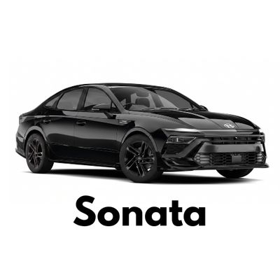 Buy Hyundai Sonata Custom Caliper Covers Online Canada