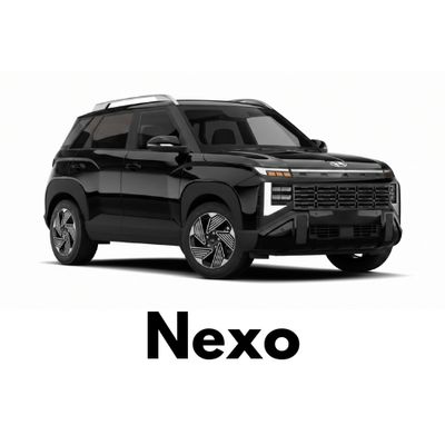 Hyundai Nexo Caliper Covers - Easy to Install
