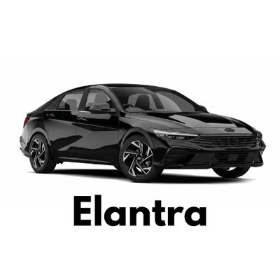 Hyundai Elantra Caliper Covers - Easy to Install