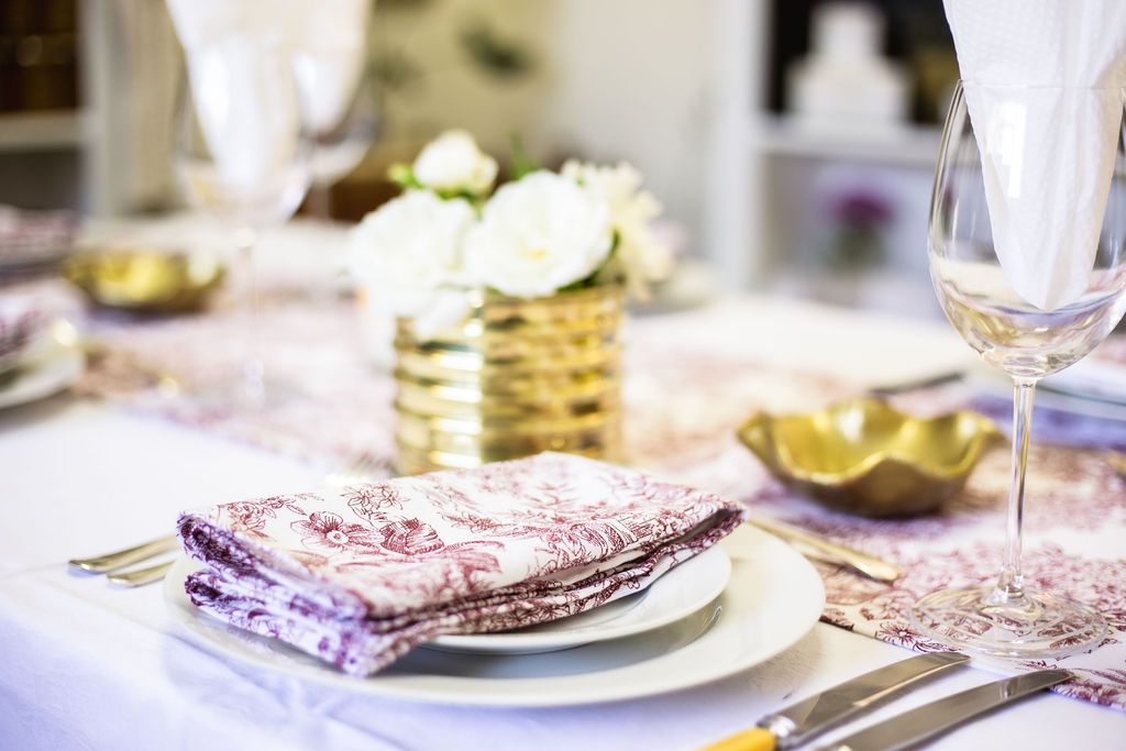 KAROO RANCHING Toile 100% Cotton Napkins - 45cm x 45cm