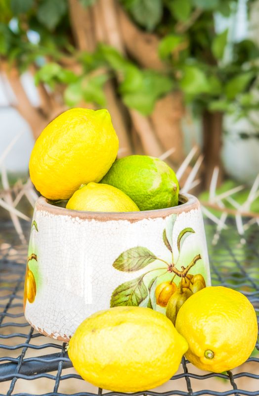KAROO RANCHING Ceramic Pots