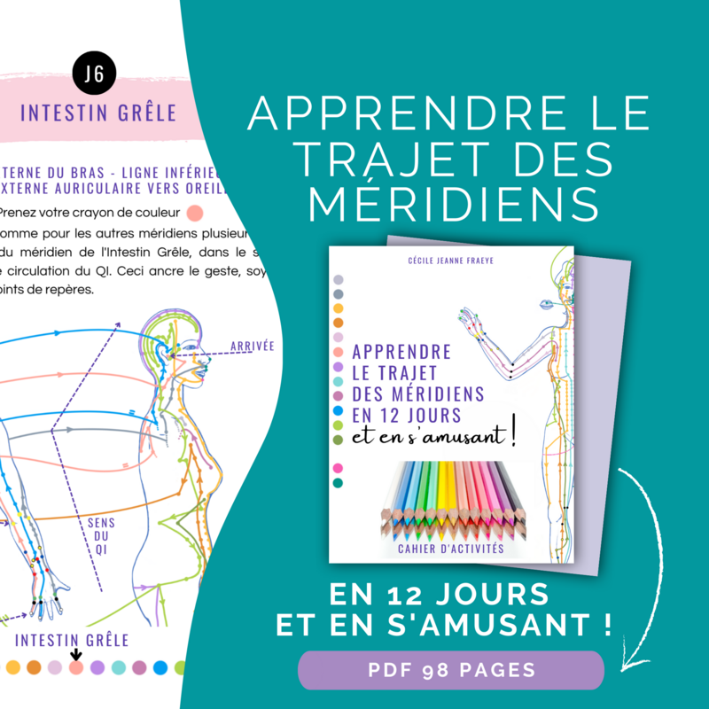 [PDF] APPRENDRE LE TRAJET DES MERIDIENS EN 12 JOURS - et en s'amusant !