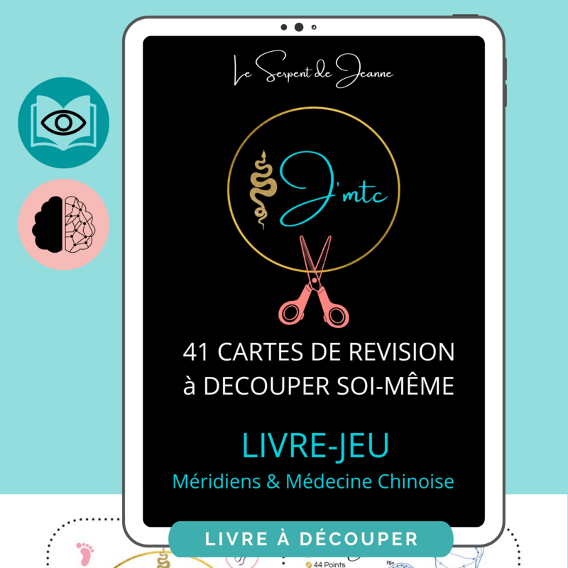 41 CARTES DE REVISION Médecine Chinoise à découper