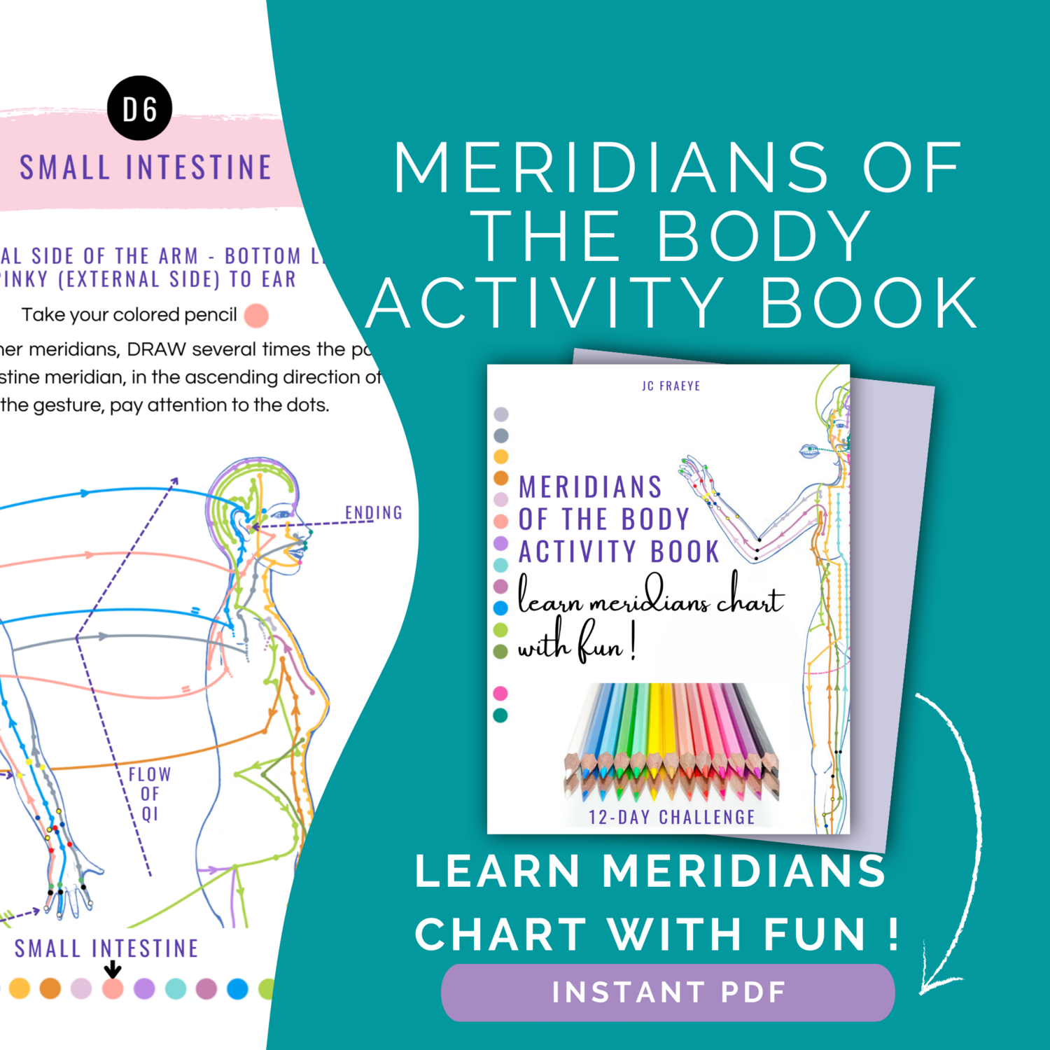 [PDF] MERIDIANS OF THE BODY ACTIVITY BOOK
