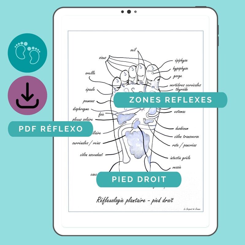 [PDF] [JPG] CARTE DE REFLEXOLOGIE PLANTAIRE - Pied droit