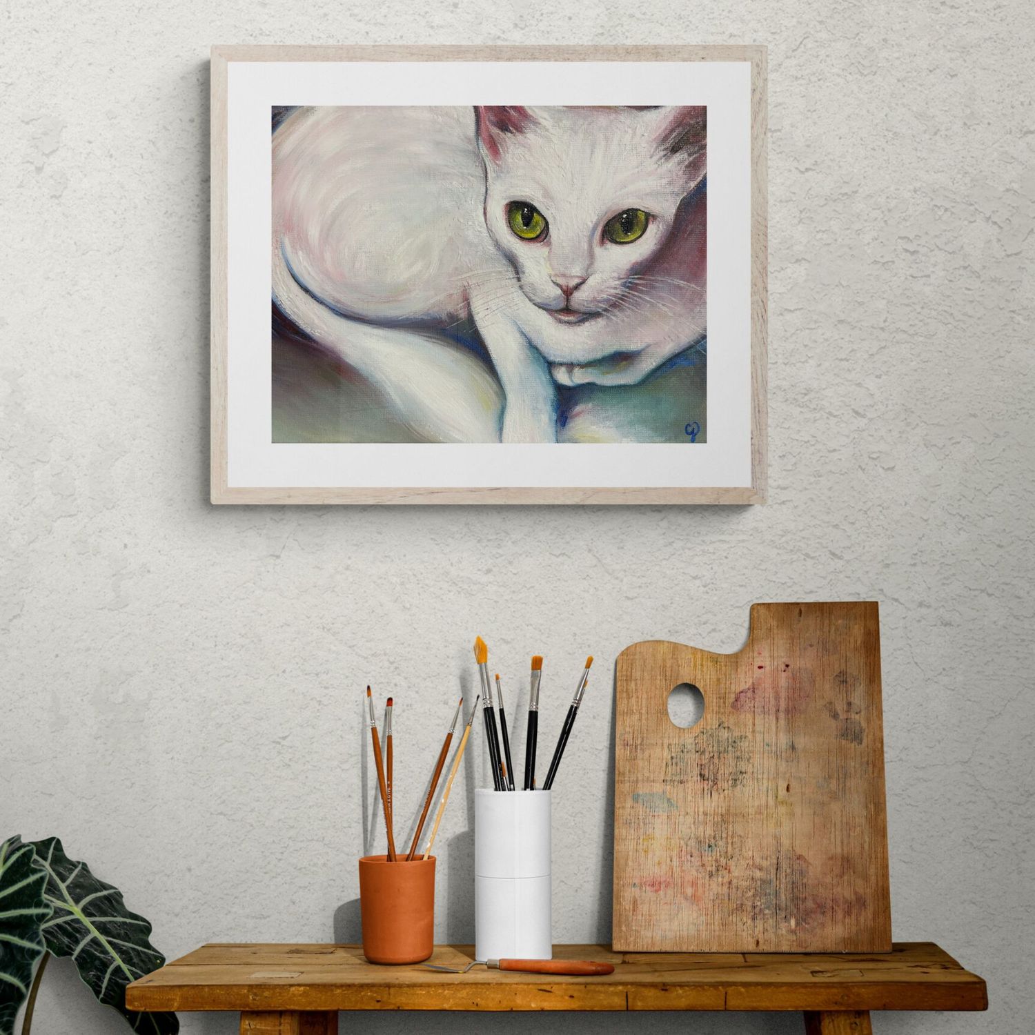 Chat blanc vu du dessus et sans les dents, Maine coon