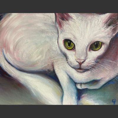 Chat blanc vu du dessus et sans les dents, Maine coon