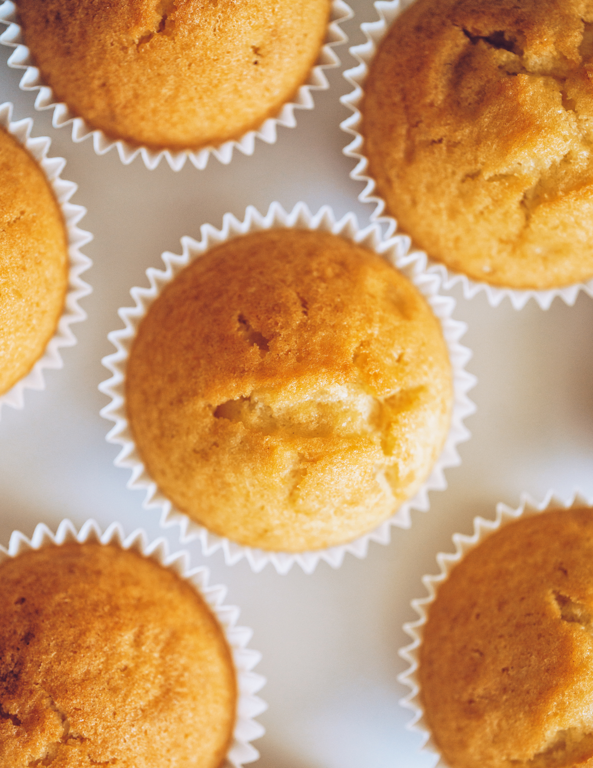 Plain Cupcakes
