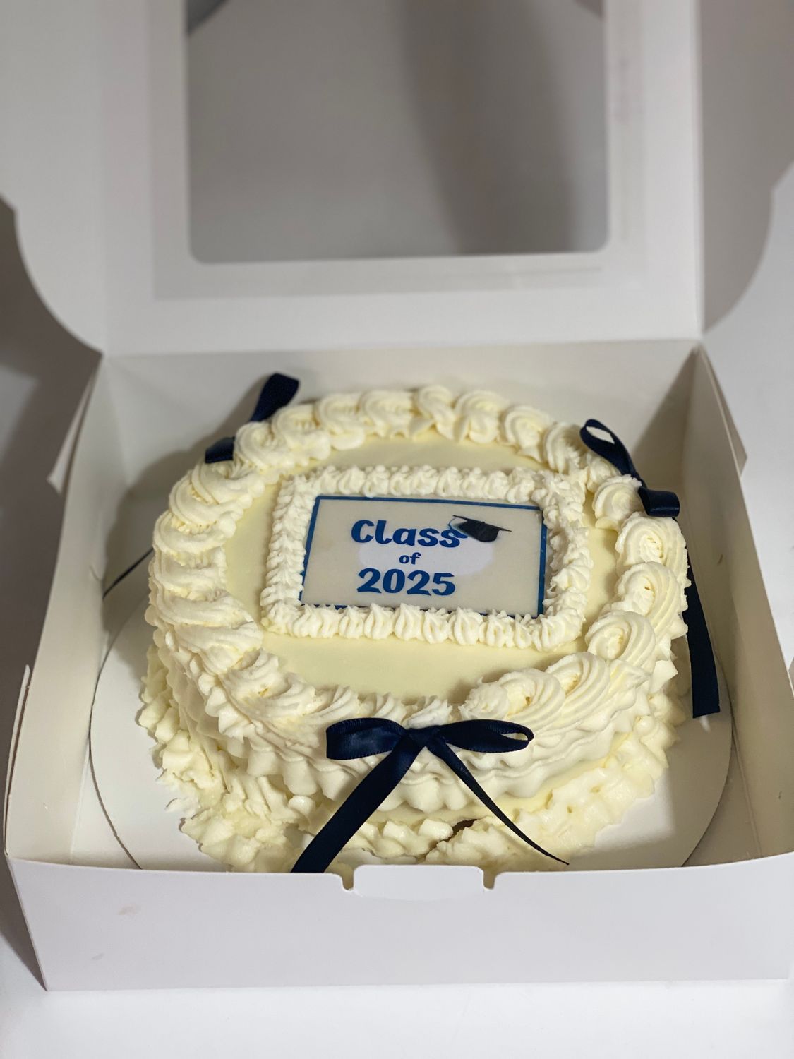 Concise - Mini Cakes