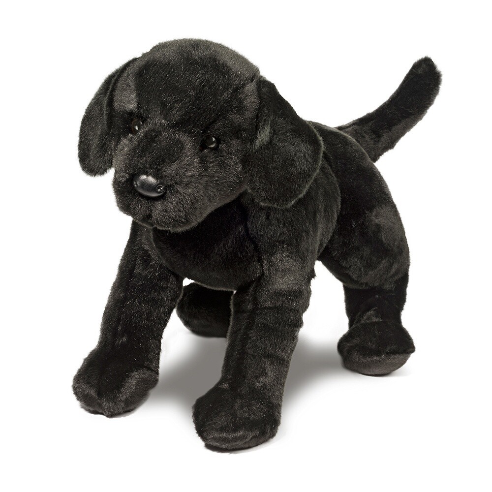 Douglas 24&quot; Black Lab (James)