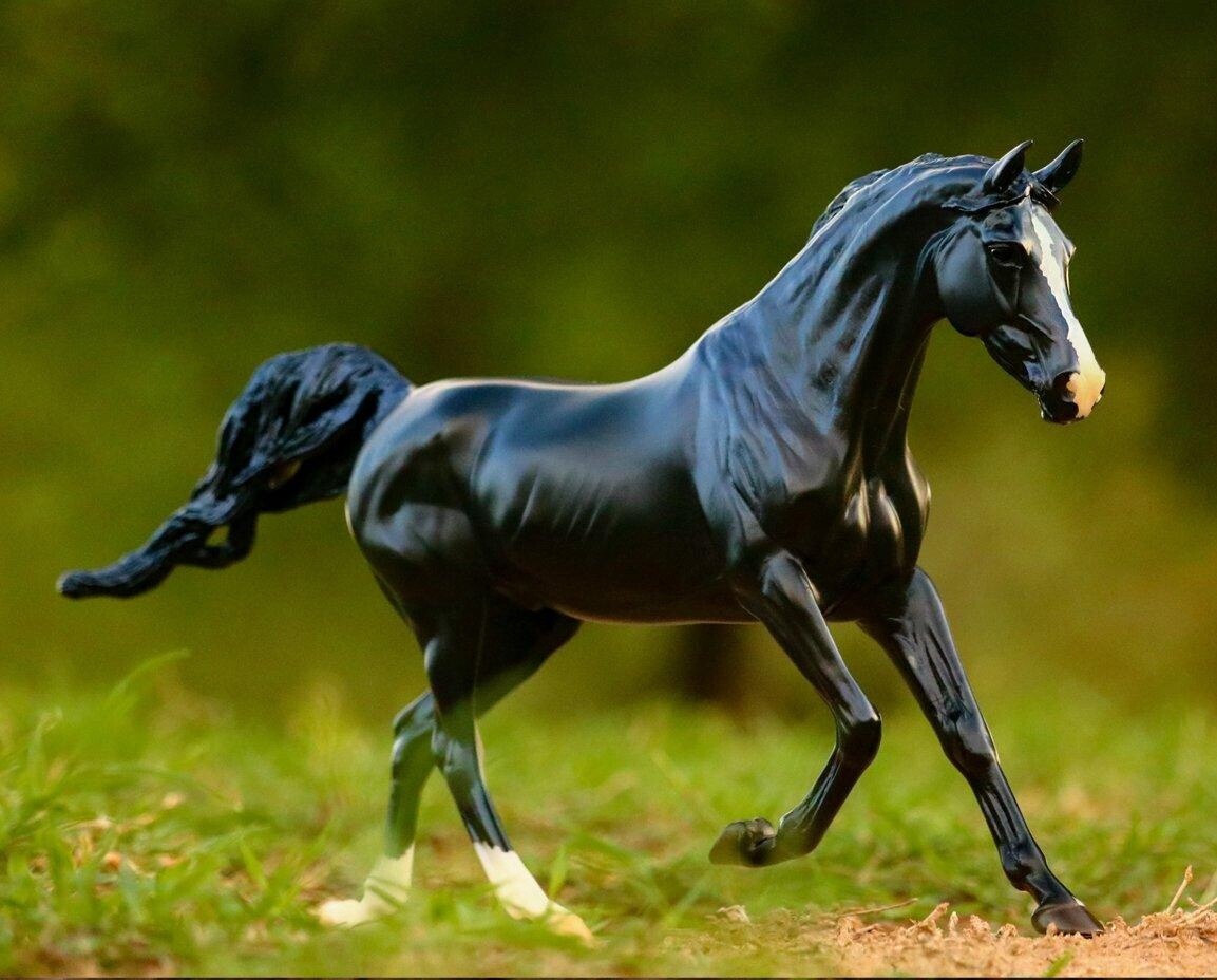 Breyer KB Omega Fahim