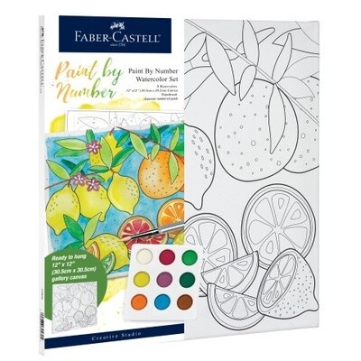 Faber-Castell Watercolor Paint by Number - Produce