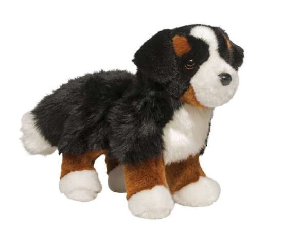 Douglas 10&quot; Bernese Mountain Dog (Stevie)