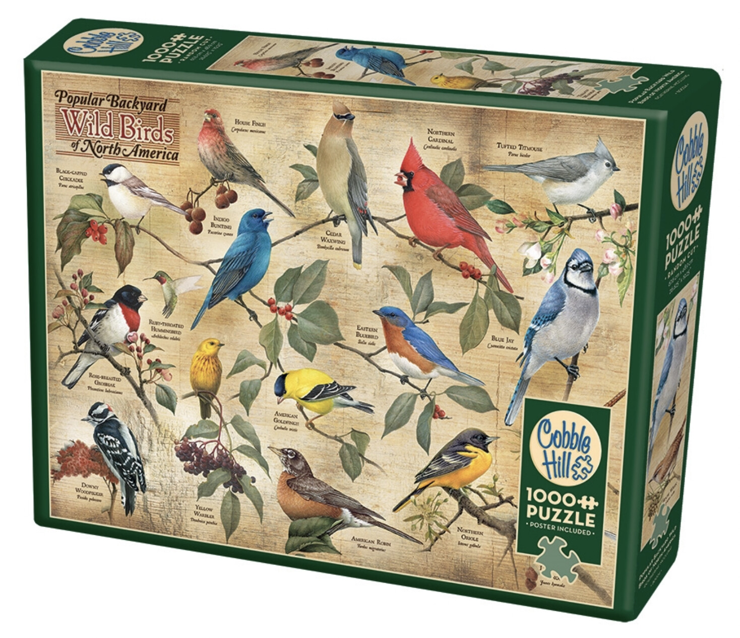 Cobble Hill Popular Backyard Wild Birds of North America Puzzle (1000 pc)