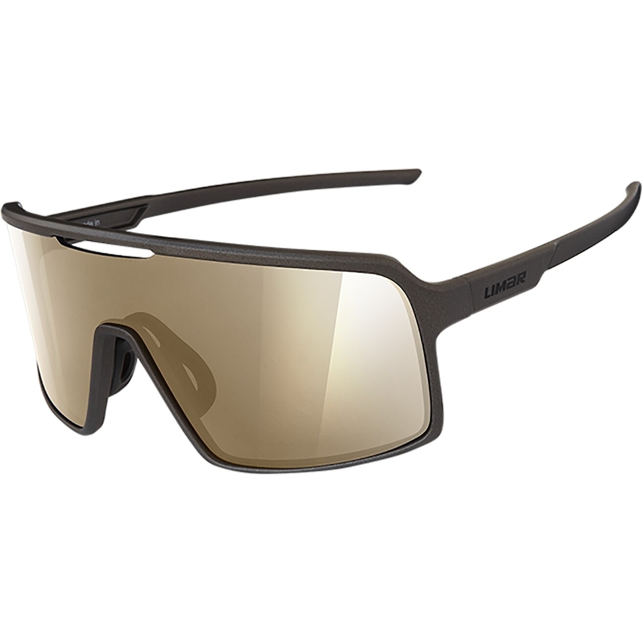 Occhiali Limar ARGO grigio/oro