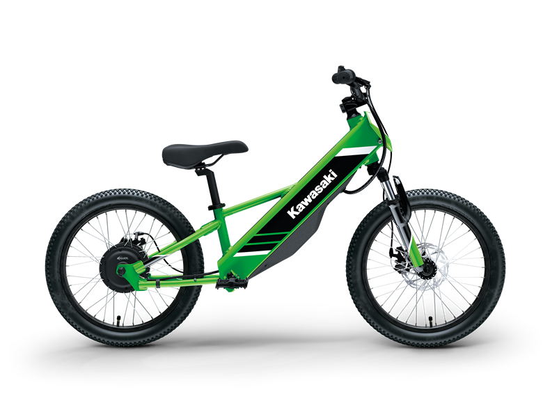 Kawasaki Elektrode 20 my25