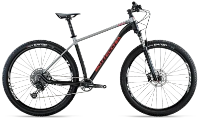Mtb Bottecchia Gavia 29 SX 12V
