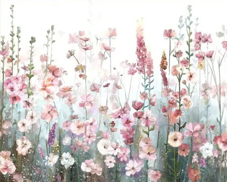 Paint by numbers - Cosmos field - 50x40cm Paint by numbers - Cosmos field - 50x40cm