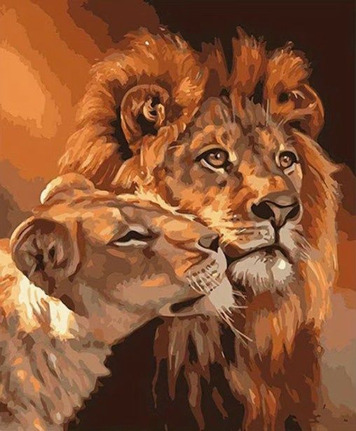 Paint by Numbers for Adults - Lion & lioness