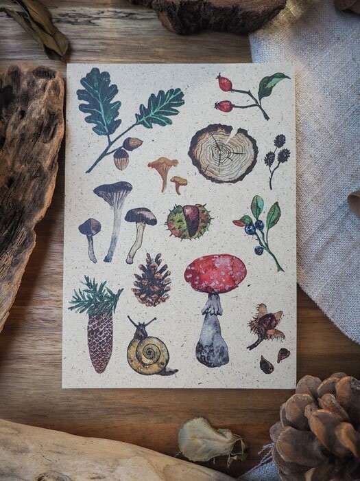 Postkarte 'Wald'