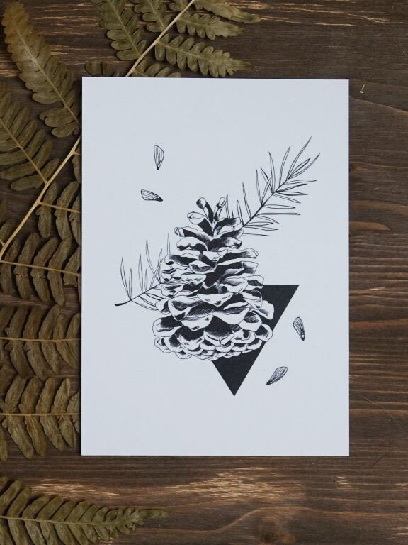 Postkarte 'Kiefernzapfen'