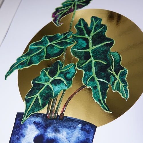 Kunstdruck 'Alocasia Gold' *limitiert*
