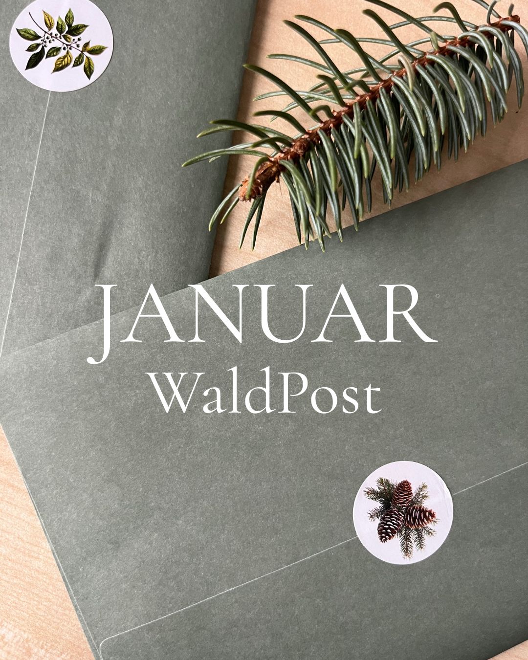 Januar WaldPost