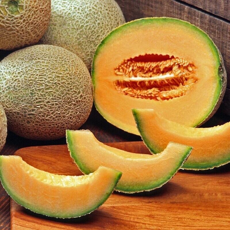 Melon: Central Indiana Cantaloupe