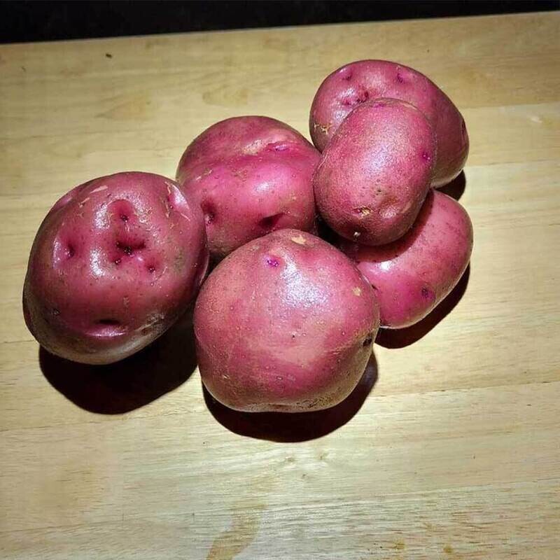 Potatoes: New Red