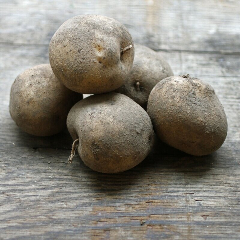 Potatoes: New White
