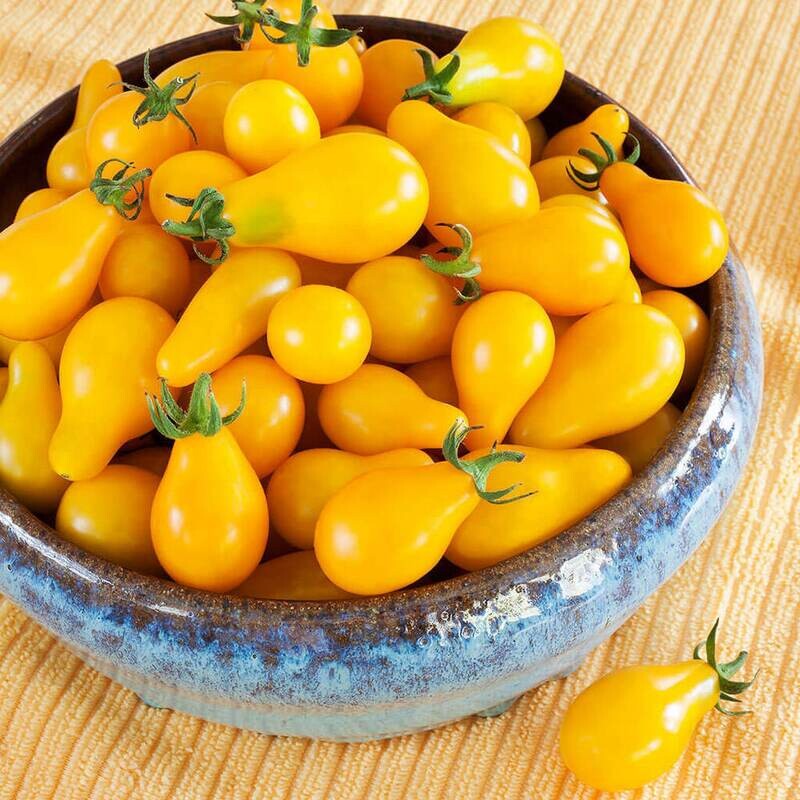 Tomatoes: Yellow Grape