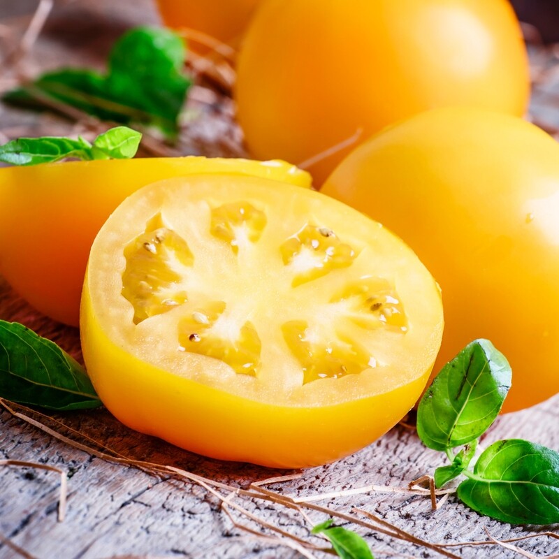 Tomatoes: Yellow