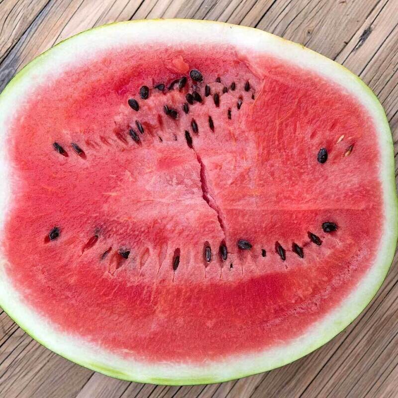 Melon: Central Indiana Watermelon
