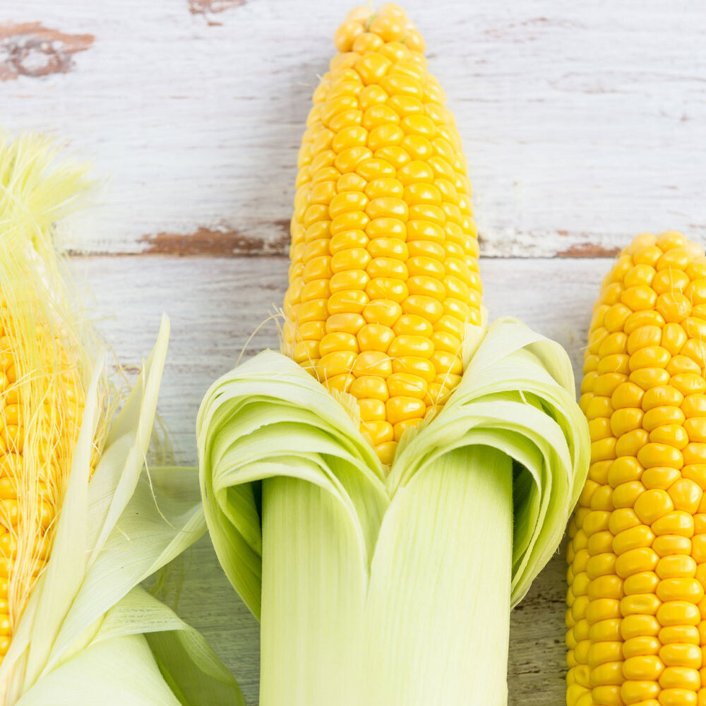 Sweet Corn