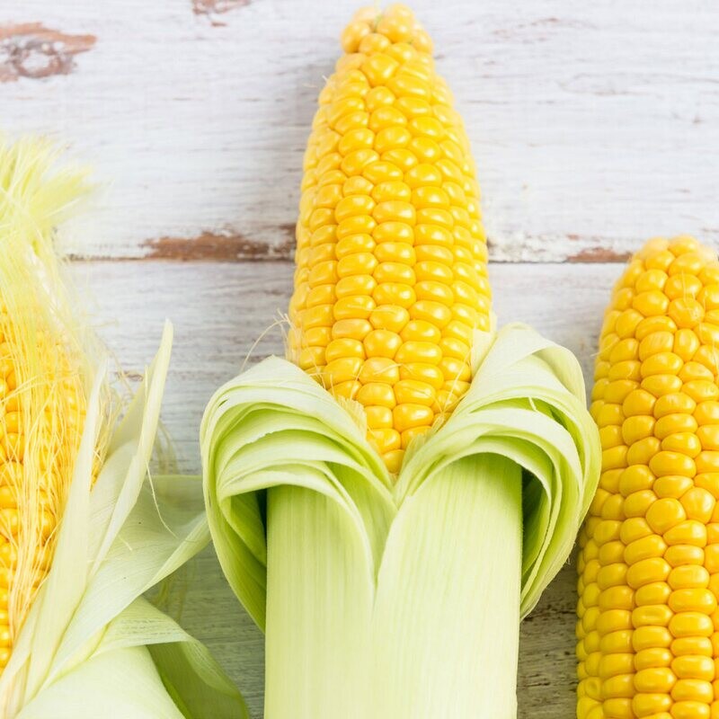 Sweet Corn