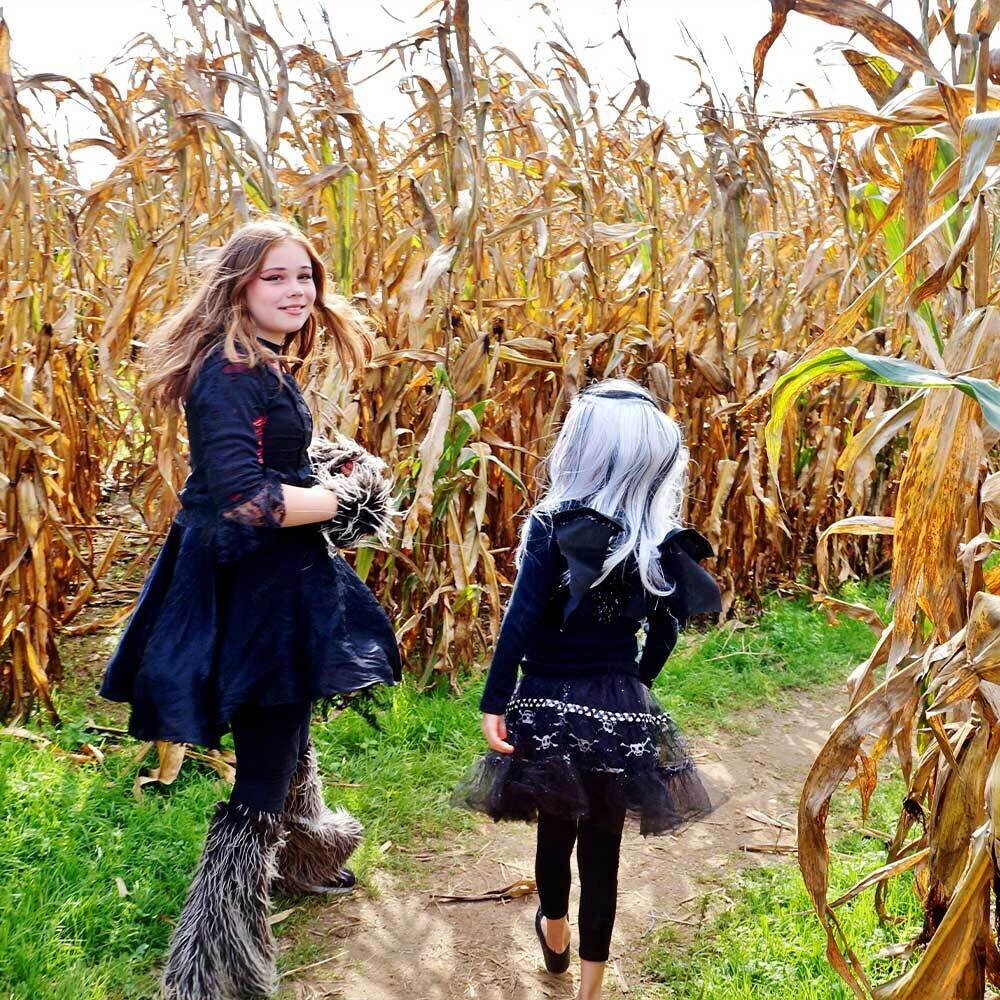 Corn Maze Ticket