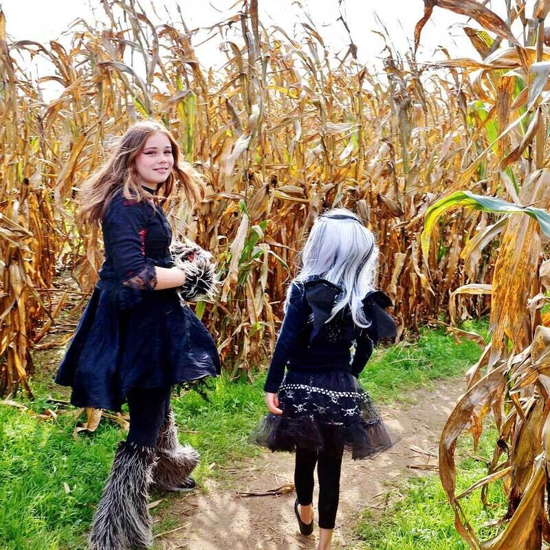 Corn Maze Ticket