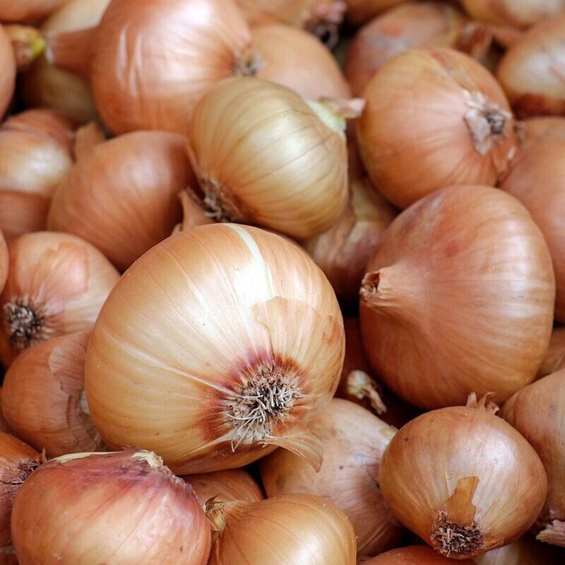 Onions - Yellow