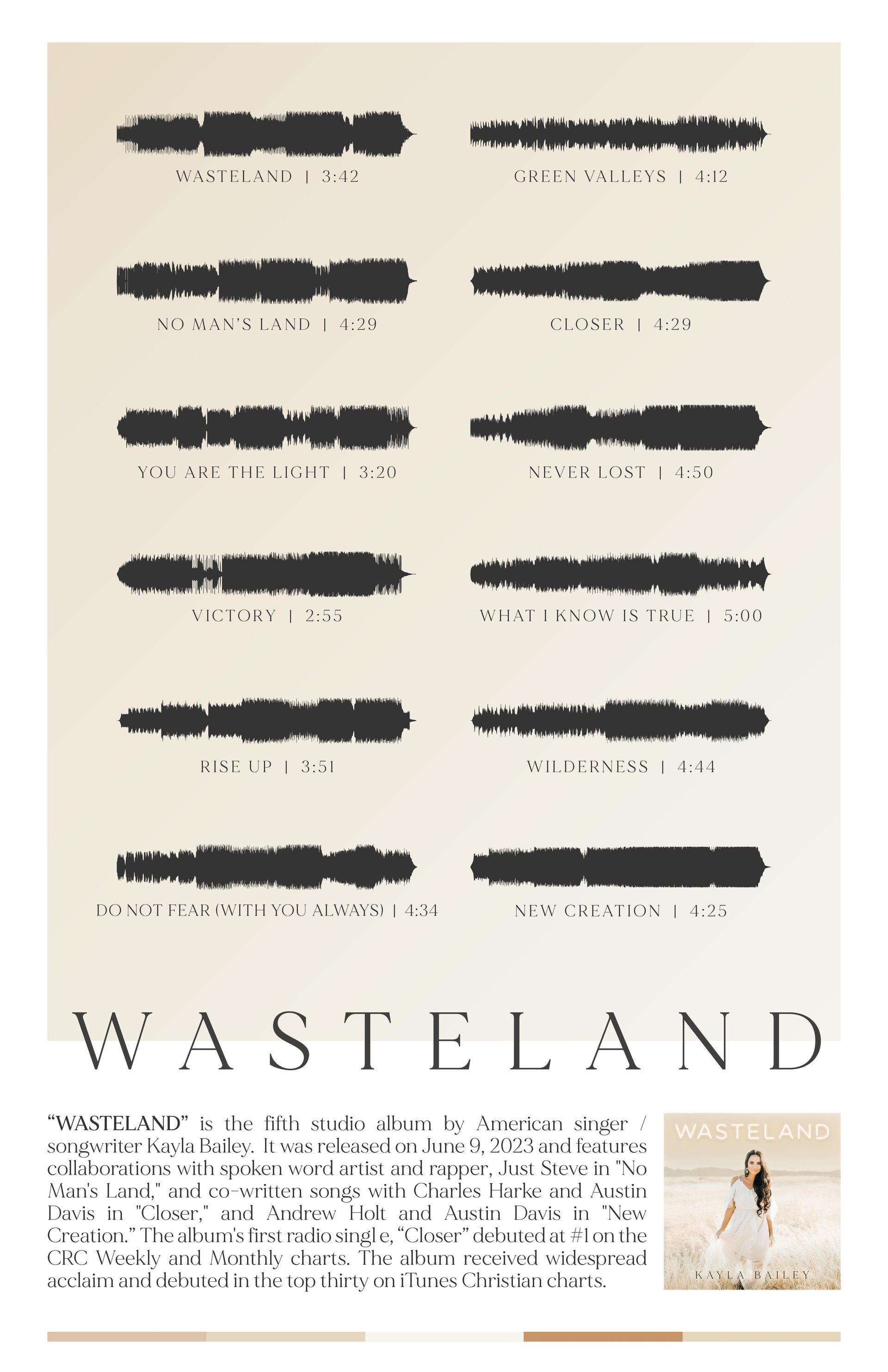 Wasteland Sound Wave Poster