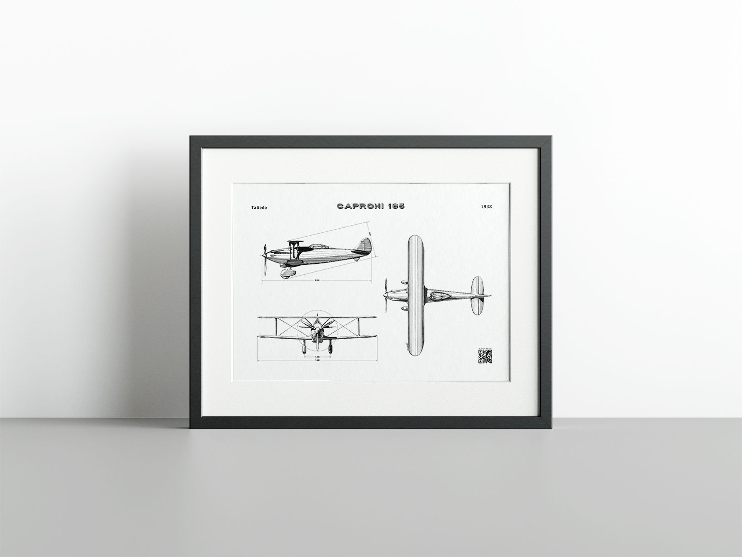 Caproni 165 - GAR Fine Art Print