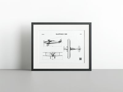 Caproni 165 - GAR Fine Art Print