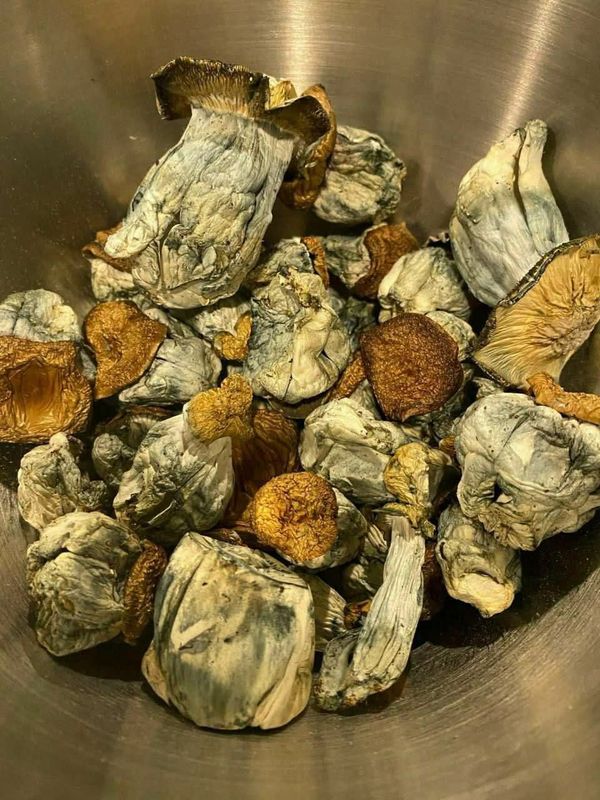 MAGIC MUSHROOMS                                                              ⭐️⭐️⭐️⭐️⭐️