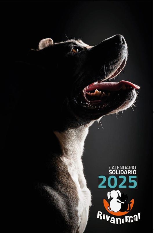 CALENDARIO 2025