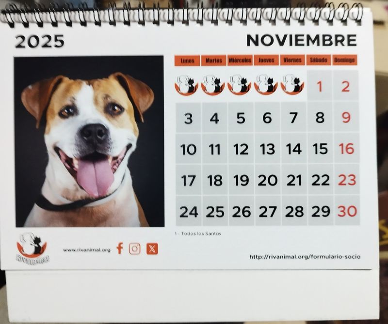 CALENDARIO MESA 2025