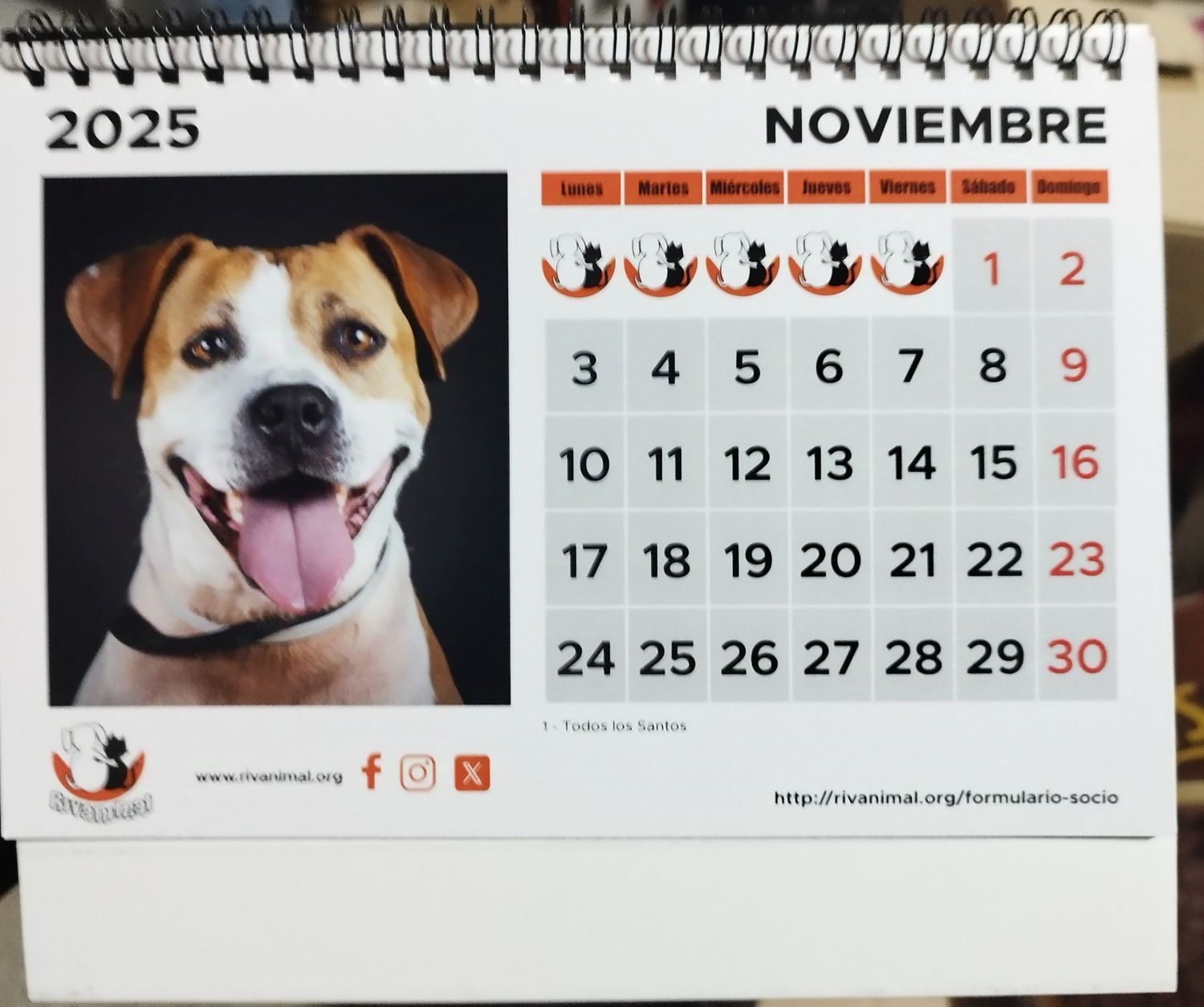 CALENDARIO MESA 2025
