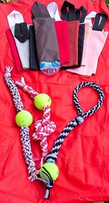 Accesorias mascotas